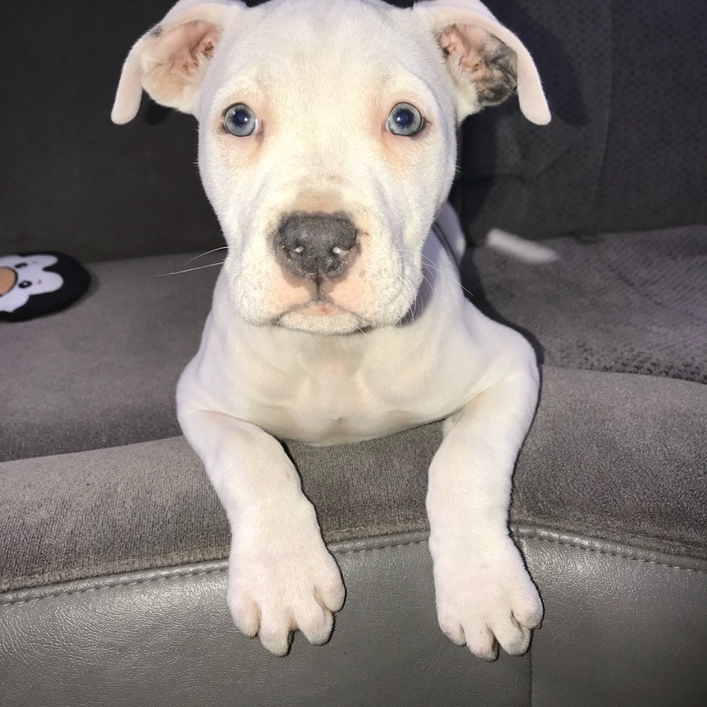 Meet your Posher, Madison